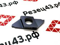 Пластина CTP10FR RDA