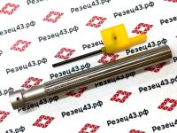 Фреза пазовая HTS-18-H10-C14-120-2T со сменными пластинами